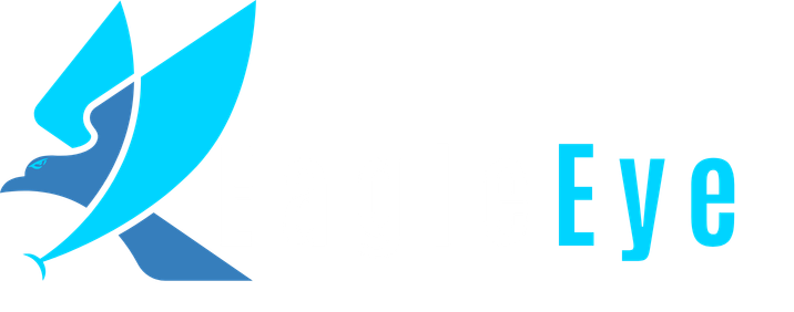 EagleEye Security